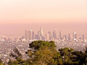 Los Angeles website design